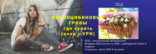 прущая мука Корсаков