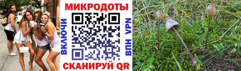 Псилоцибиновые грибы Magic Shrooms  Купить где  Россошь 
